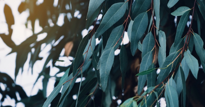 Psychological Treatment